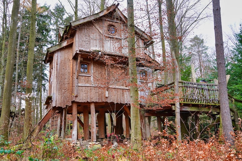 Luxurious Treehouse